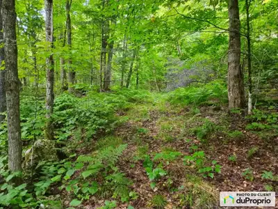 Terre de 172,5 acres ancestrale depuis quatre générations. Située à Val-des-Monts, à 8 minutes de la...