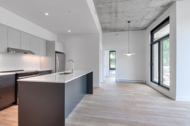 605 rue Fullum — photo 1