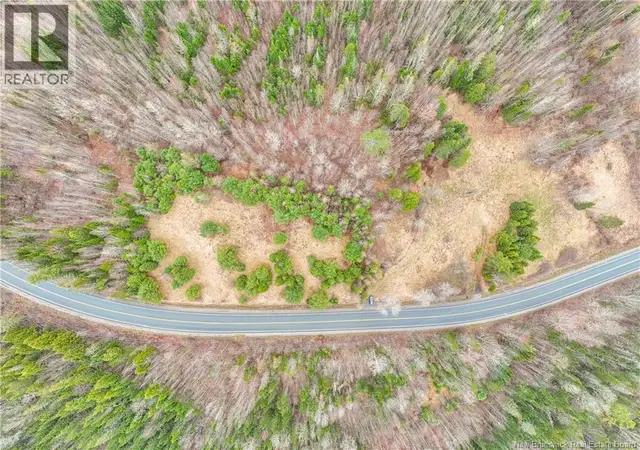 2997 Route 3 Hwy Harvey, New Brunswick in Land for Sale in Fredericton - Image 15
