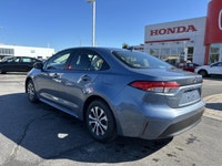 Experience remarkable fuel efficiency and peace of mind with this pristine 2024 Toyota Corolla Hybri... (image 6)