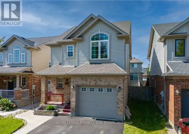 LOWER - 11 FRANKFURT STREET Kitchener, Ontario in Long Term Rentals in Kitchener / Waterloo - Image 16