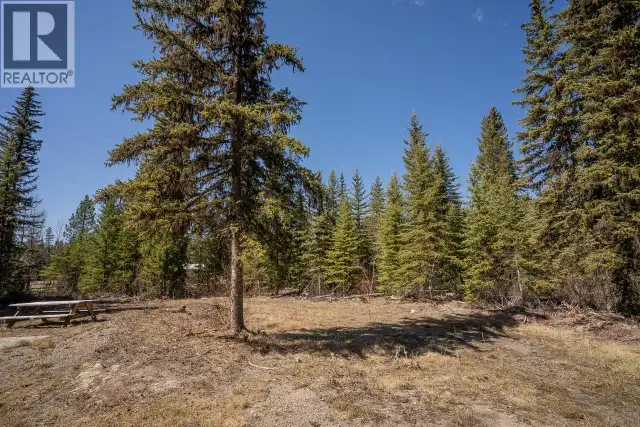 6301 ARCHIE MEADOW ROAD Forest Grove, British Columbia in Land for Sale in 100 Mile House - Image 15