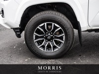 Welcome to Maserati Alfa Romeo of Winnipeg, home to one of the largest used car inventories in the c... (image 7)