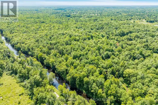 PART LOT 28 CONCESSION 12 BLACK RIVER ROAD Kawartha Lakes (Dalto in Land for Sale in Barrie - Image 3