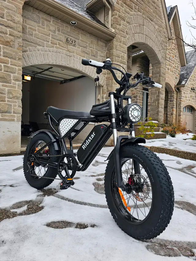 Zeus Ebikes - Q20 Electric Bike - Retro Ebike 55km/h - Financing in eBike in Strathcona County - Image 6