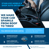 StarLuxe Premium Mobile/Shop Auto Detailing **SPECIAL 4HR SPA**