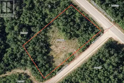 Welcome to this attractive corner building lot in a quiet country location in Poplar Grove. Partiall...