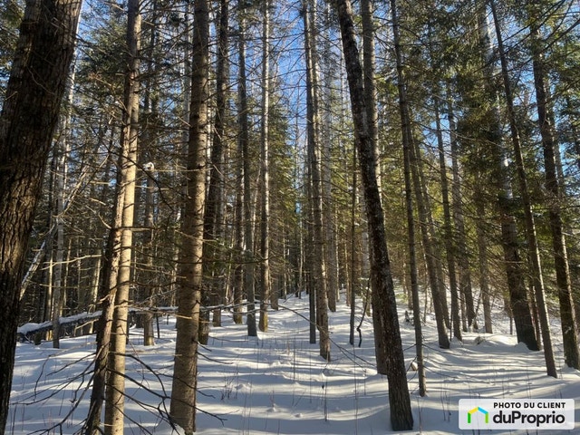 $60,000 - Residential Lot for sale in La Malbaie (Ste-Agnès) — photo 2