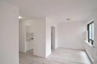 BIG 4 1/2 to rent - 1 MONTH FREE