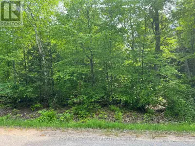 Majestic, rare and picturesque 12 acres parcel. Lot backs onto hundreds of acres of Crown Land. Well...
