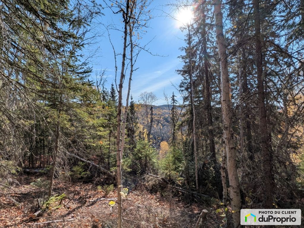 $74,000 - Residential Lot for sale in Baie-St-Paul — photo 3
