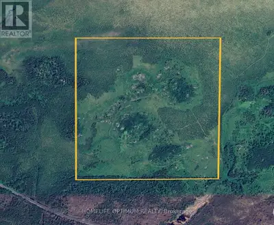This property is in Revell Township just east of the community of Borups Corners which is between Dr...