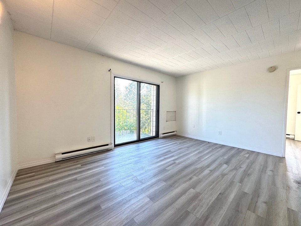 Freshly Renovated 1 bedroom 1 bath apartment in the heart of Poi 2
