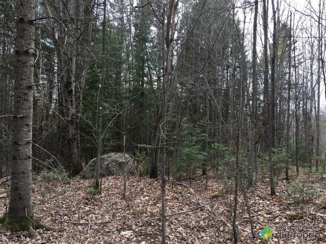 $255,000 - Residential Lot for sale in Mandeville — photo 2