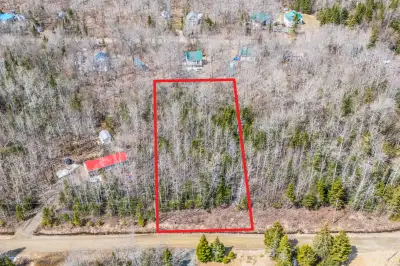 Ch. de la Perdrix, Notre-Dame-des-Bois Terrain boisé d'une superficie de 1,1 acre faisant partie du...
