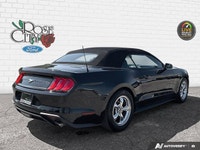 Rose City Ford | Accident Free | Convertible | 10-Speed Transmission | Engine Block Heated | Back Up... (image 5)