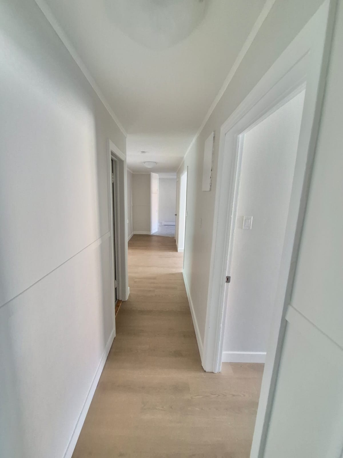 320 Rue Le Moyne Ouest — photo 3