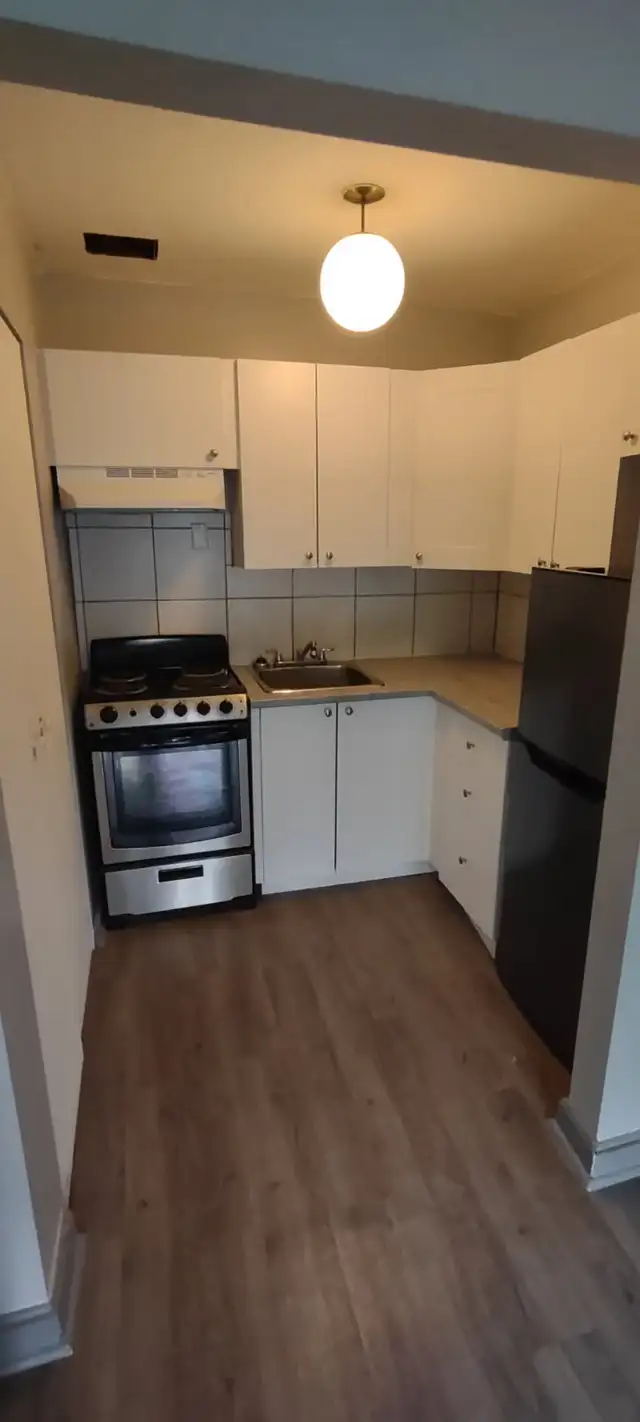 1 Bedroom Apartment in Long Term Rentals in Chatham-Kent - Image 6