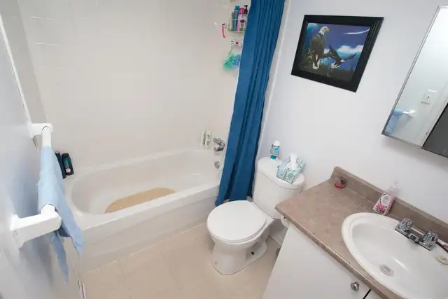 1 Bedroom in Ottawa East for November in Long Term Rentals in Ottawa - Image 7