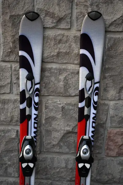 Salomon Women’s Downhill Skis 150 cm – Verse 7 L150 – S710 Bindi, View more