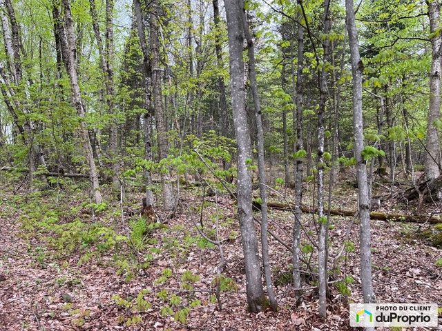 $220,000 - Residential Lot for sale in Lac-Sergent — photo 1