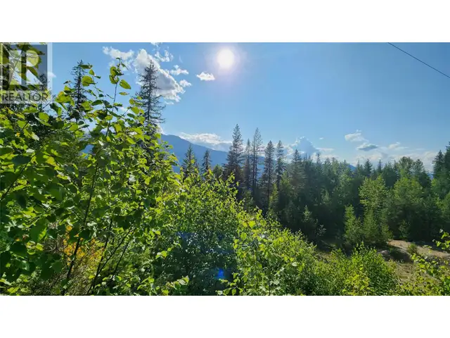 Lot 19 6 Highway Nakusp, British Columbia in Land for Sale in Nelson - Image 8