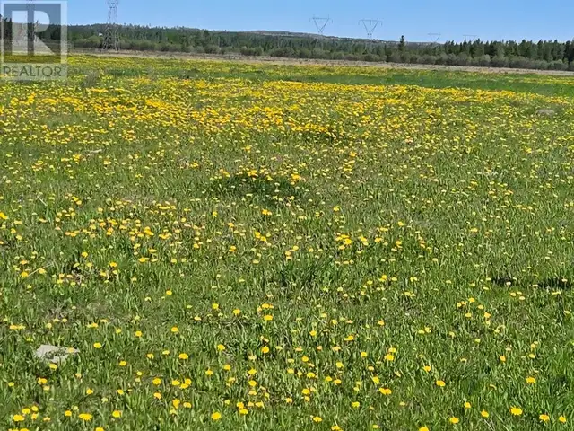 Highway 20 Rural Ponoka County, Alberta62865715058563123