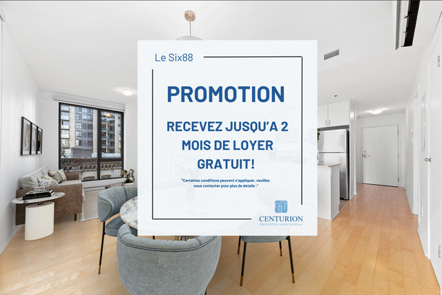 2 Chambres à Montréal -  Notre-Dame West and Rue Saint Henri! dans Locations longue durée  à Ville de Montréal