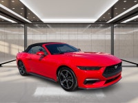 2025 Ford Mustang EcoBoost Sporty, stylish, and built to deliver an exciting driving experience, thi... (image 1)