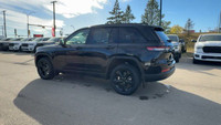 This 2025 JEEP GRAND CHEROKEE LIMITED 4X4 has the following options Capri Leatherette W/Axis Ii Seat... (image 1)