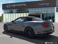 *2019 Ford Mustang EcoBoost Premium Convertible | Automatic | Turbocharged | Low KM* Iconic design m... (image 2)