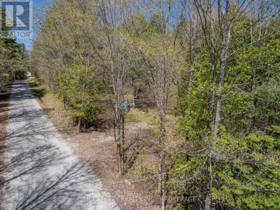 Serene and lush forest property awaits a new family to share in the tranquility offered by Mother Na...