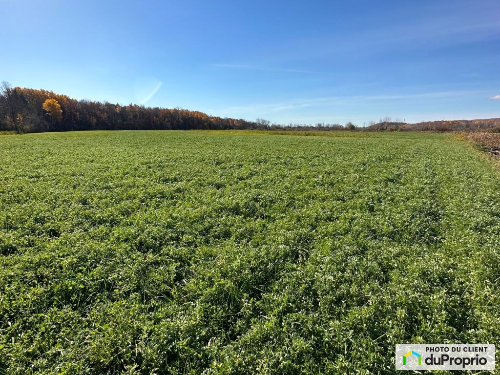 $2,500,000 - Arable Land for sale in St-Eustache — photo 2