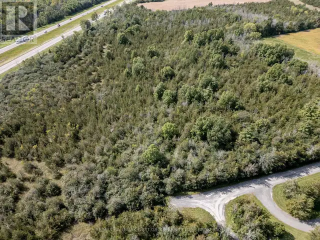 00 PALACE ROAD Greater Napanee (Greater Napanee), Ontario in Land for Sale in Napanee - Image 38