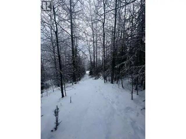 LOT A BALD HILL ROAD Burns Lake, British Columbia in Land for Sale in Burns Lake - Image 29