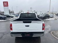Harness incredible power and unparalleled capability with this impressive 2022 Ford F-150 Crew Cab P... (image 4)