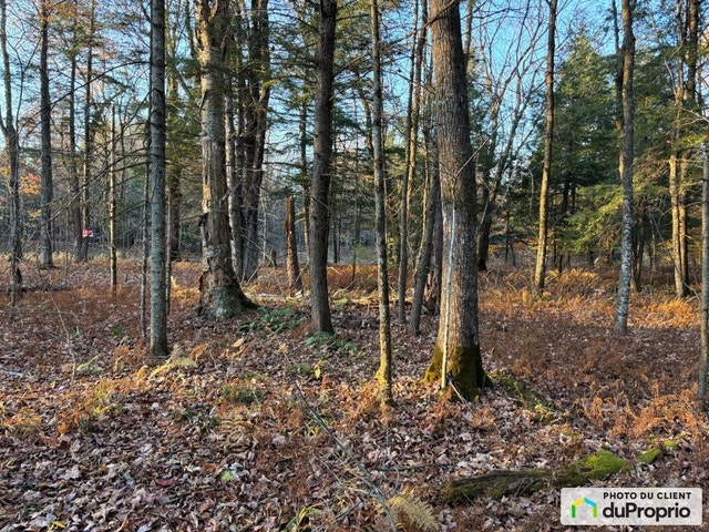 $205,000 - Residential Lot for sale in Bromont — photo 3