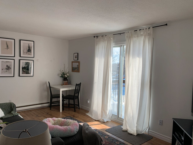 1350 Laurier Street #301: 2 Bedroom Apartment (Rockland) in Long Term Rentals in Ottawa - Image 3