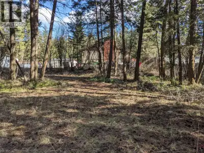 QUARTER ACRE LEVEL LOT!! Build your dream home on this 0.28-acre lot in the peaceful community of We...