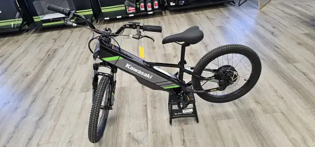 2025 Kawasaki ELEKTRODE 20 in Street, Cruisers & Choppers in Medicine Hat - Image 4