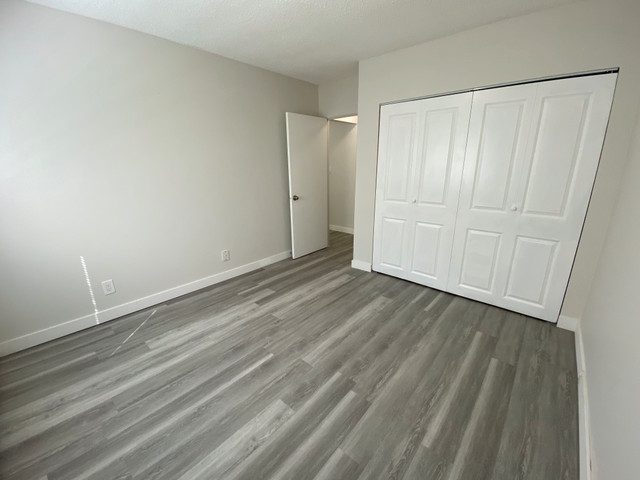 Queen Mary Park Apartment For Rent | Centre 110 in Long Term Rentals in Edmonton - Image 4
