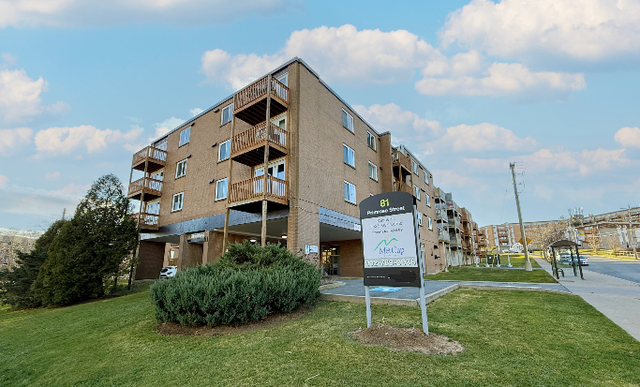 Primrose Street - Studio Apartment for Rent in Long Term Rentals in Dartmouth - Image 3