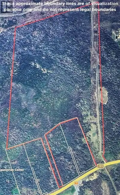 Discover the perfect blend of privacy and convenience with this beautiful 65-acre treed lot in Pleas...
