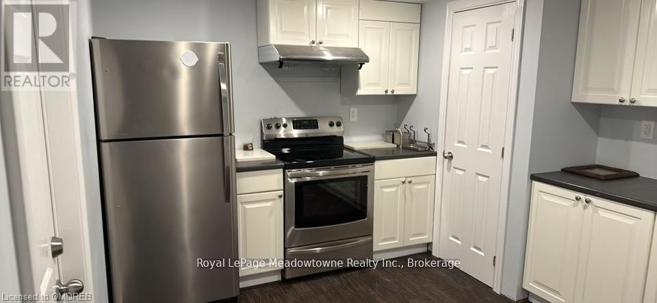 BASEMENT A - 316 TONELLI LANE NE Milton (HA Harrison), Ontario 4