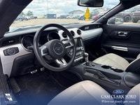 Thanks for viewing our Cam Clark Ford Inventory! “AMVIC Licensed Dealership” ... (image 6)