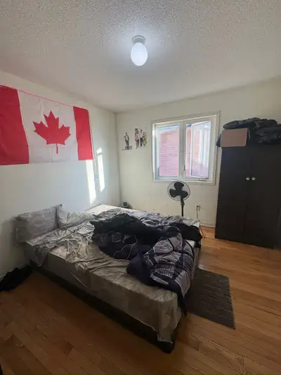 4 Rooms in house, spacious and bright available for rent ASAP in a great neighborhood in Brampton L6...