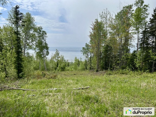 $239,000 - Residential Lot for sale in Les Eboulements — photo 1