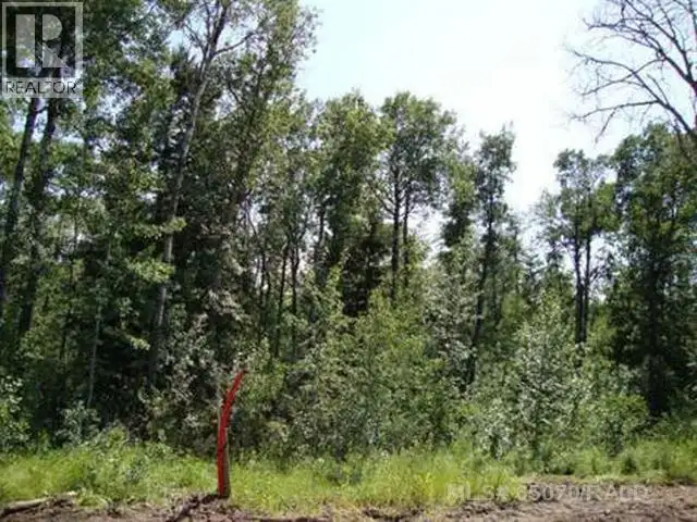 Lot 3 Blk 5 LAKESIDE Drive Perch Lake, Saskatchewan in Land for Sale in Prince Albert - Image 2