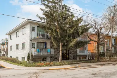 SuperbeBeautiful  & spacious heated 4 1/2 for rent in Rosemont