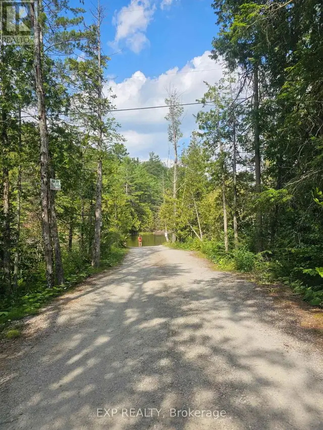 PART LOT 32 AND 33 PART 2 CONC 1 CONCESSION Minden Hills (Snowdo in Land for Sale in Kawartha Lakes - Image 15